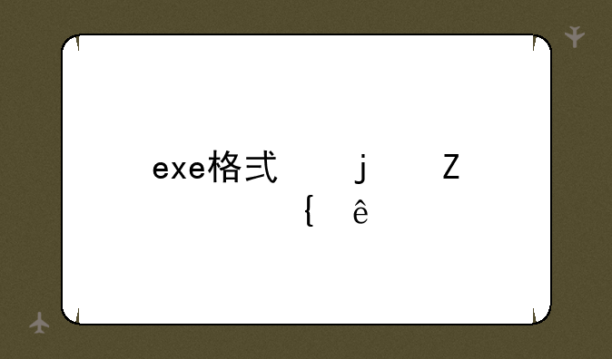 exe格式的文件属于