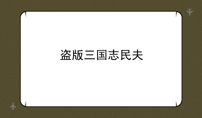 盗版三国志民夫