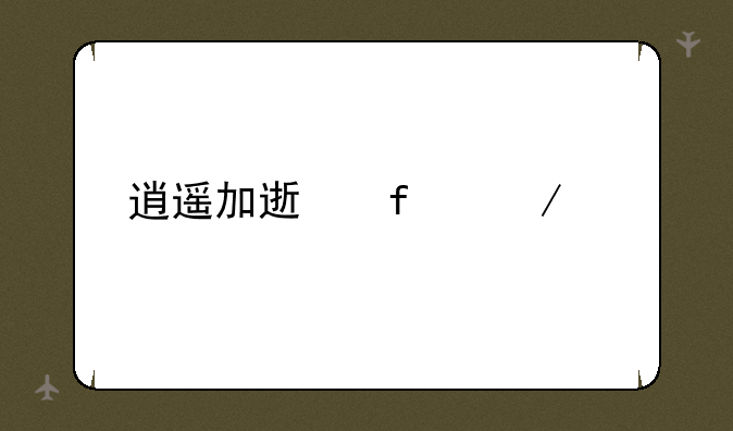 逍遥加速器下载