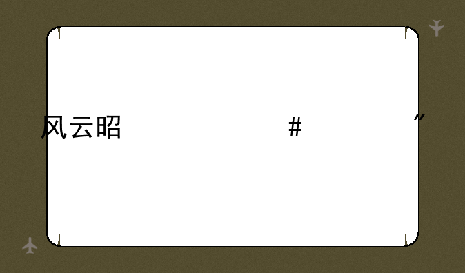风云是什么游戏