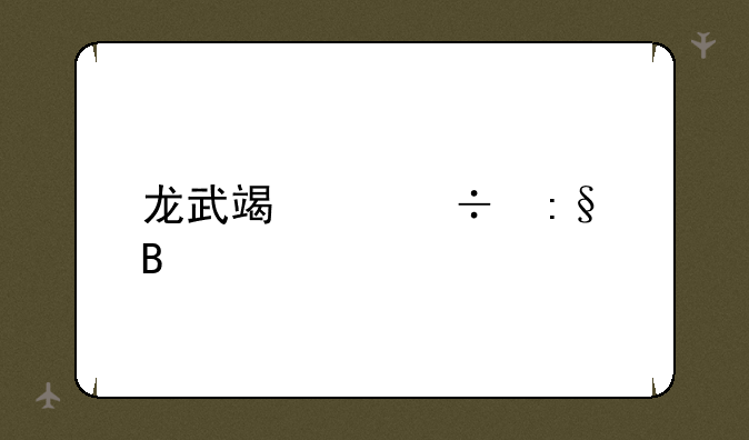 龙武端游好玩吗