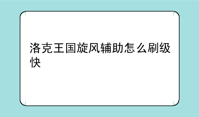 洛克王国旋风辅助怎么刷级快