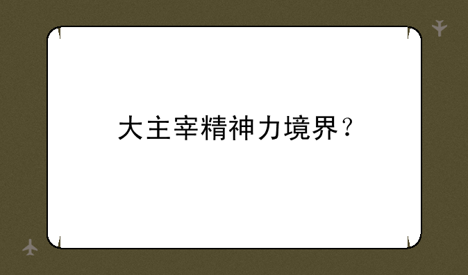 大主宰精神力境界？