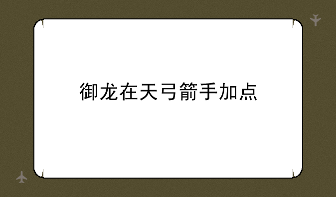 御龙在天弓箭手加点