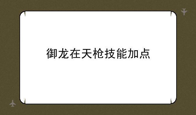御龙在天枪技能加点