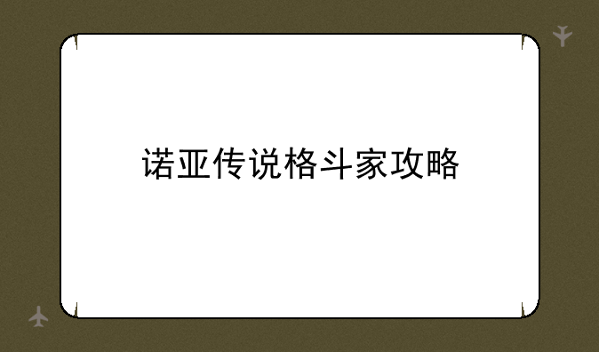 诺亚传说格斗家攻略