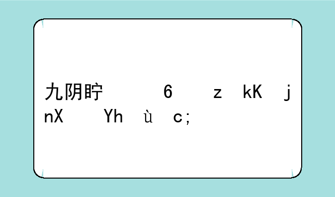 九阴真经门派武功境界？