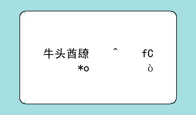 牛头酋长无限火力出装？