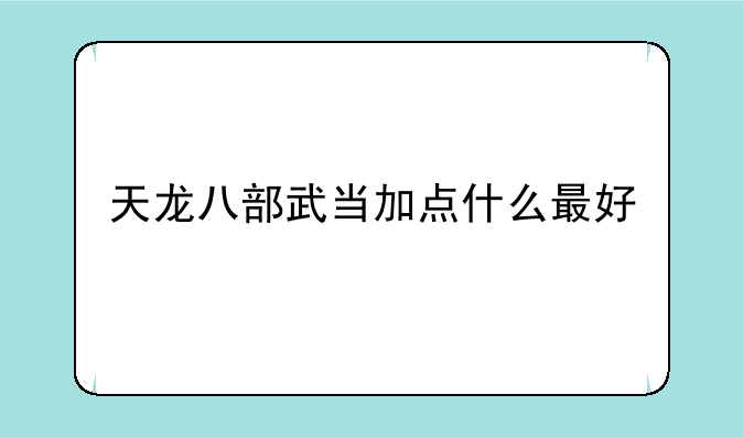 天龙八部武当加点什么最好