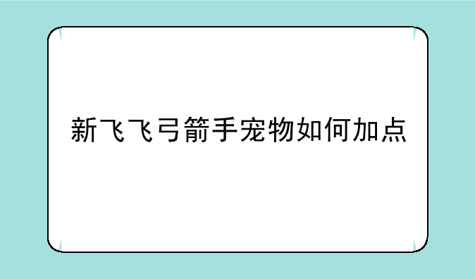 新飞飞弓箭手宠物如何加点