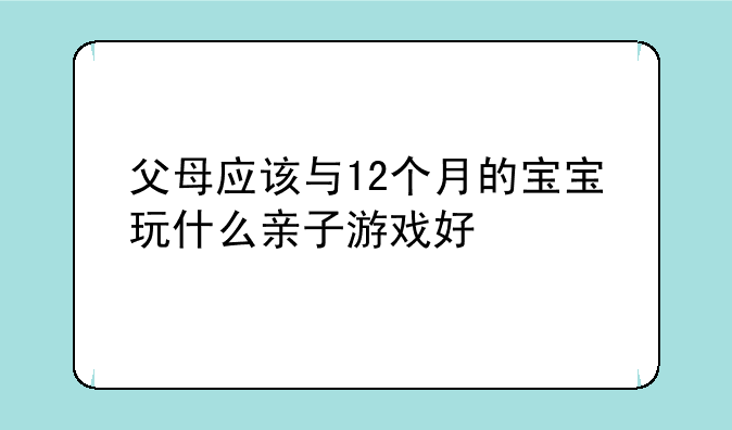 父母应该与12个月的宝宝玩什么亲子游戏好