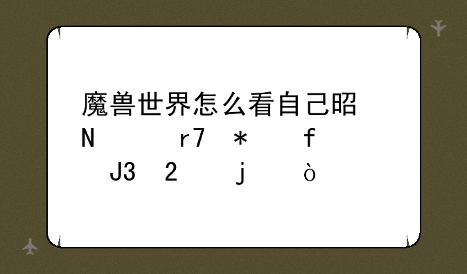 魔兽世界怎么看自己是哪个服务器和区的？