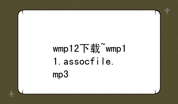 wmp12下载~wmp11.assocfile.mp3