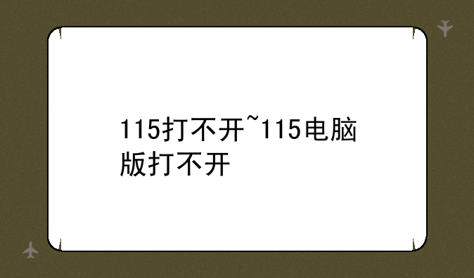 115打不开~115电脑版打不开