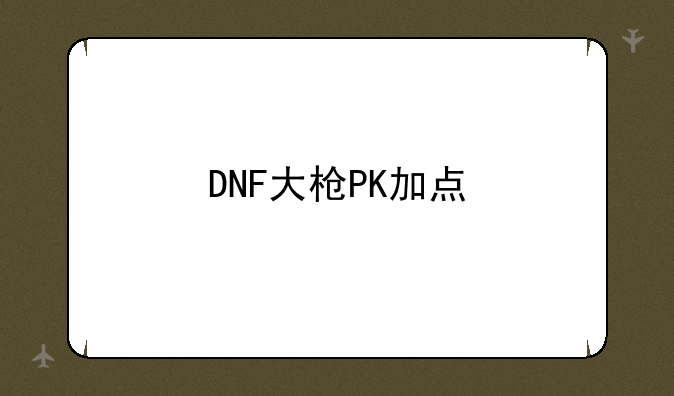 DNF大枪PK加点