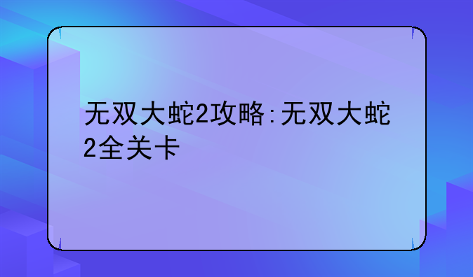 无双大蛇2攻略:无双大蛇2全关卡