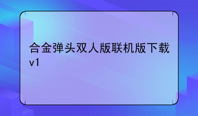 合金弹头双人版联机版下载v1
