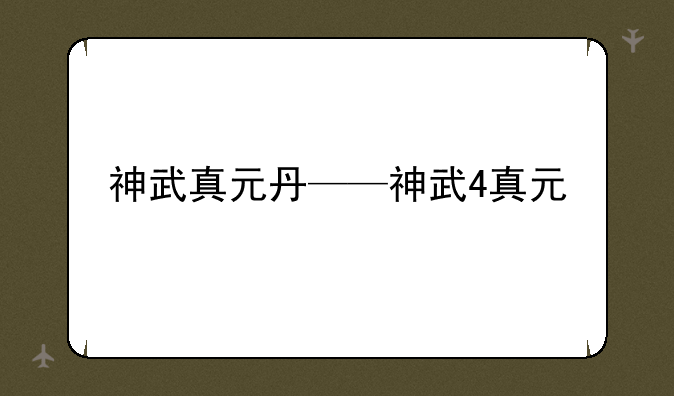 神武真元丹——神武4真元