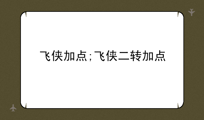飞侠加点;飞侠二转加点