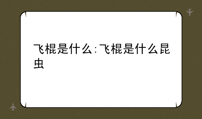 飞棍是什么:飞棍是什么昆虫