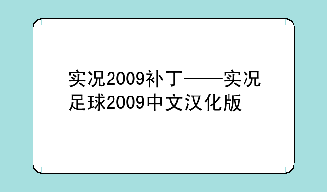 实况2009补丁——实况足球2009中文汉化版